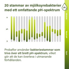 -localization-error-products-images-main-thumbnail-extra- 3