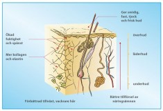 -localization-error-products-images-main-thumbnail-extra- 1