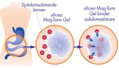 -localization-error-products-images-main-thumbnail-extra- 1