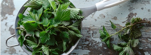 Den nringsrige brndenlde