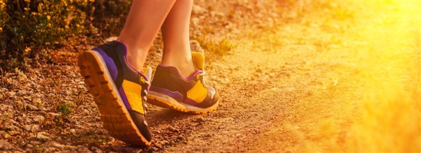 Fordelene ved en gtur om morgenen