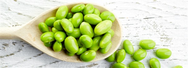 Fordelene ved lecithin