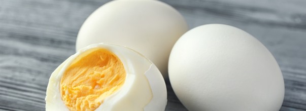 Sdan fungerer ggeprotein