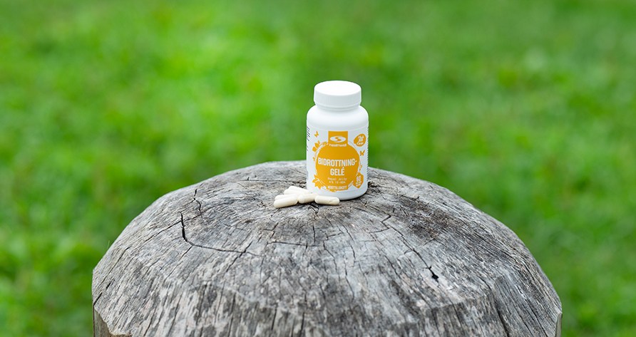 Healthwell Bidronning Gele st�r sammen med nogle kapsler, oppe p� en stor, gr� tr�p�l med gr�nt gr�s i baggrunden.