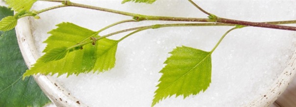 Sdan fungerer naturligt sdemiddel: Birkesukker eller xylitol