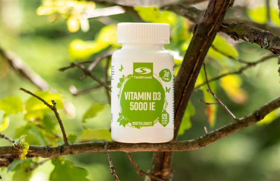 En pakke Healthwell.dk Vitamin D3 5000 IE står i et træ på en tynd gren. I baggrunden ses grønne blade og grene. En bøtte Healthwell Vitamin D3 5000 IE står i et træ på en tynd gren. I baggrunden ses grønne blade og grene.