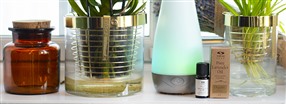 Reng�r luften med �teriske olier