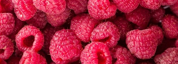 Hindbrketon og fedtforbrnding