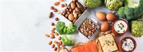 Guide til nybegyndere: Protein