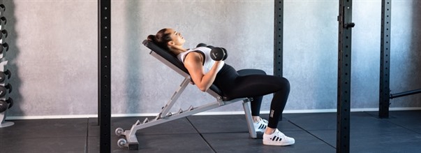 Siddende biceps curl (seated inlcline bicep curl)