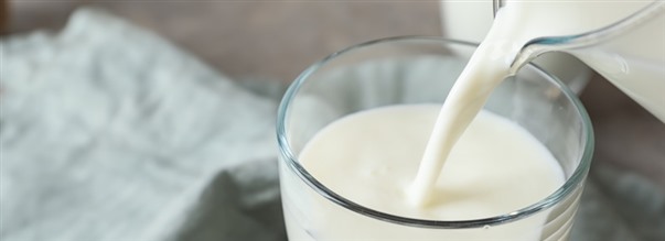 Alt om rmlk - colostrum