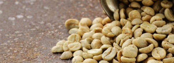 Hvad er grn kaffe - og hvordan virker det?