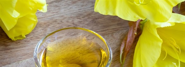 S�dan fungerer GLA (natlysolie)