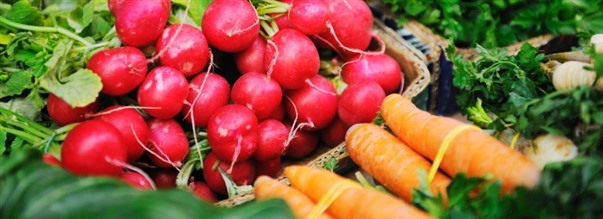 Guide: Alt om stenalderkost (palo)