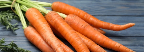 Guide: Det her er A-vitamin